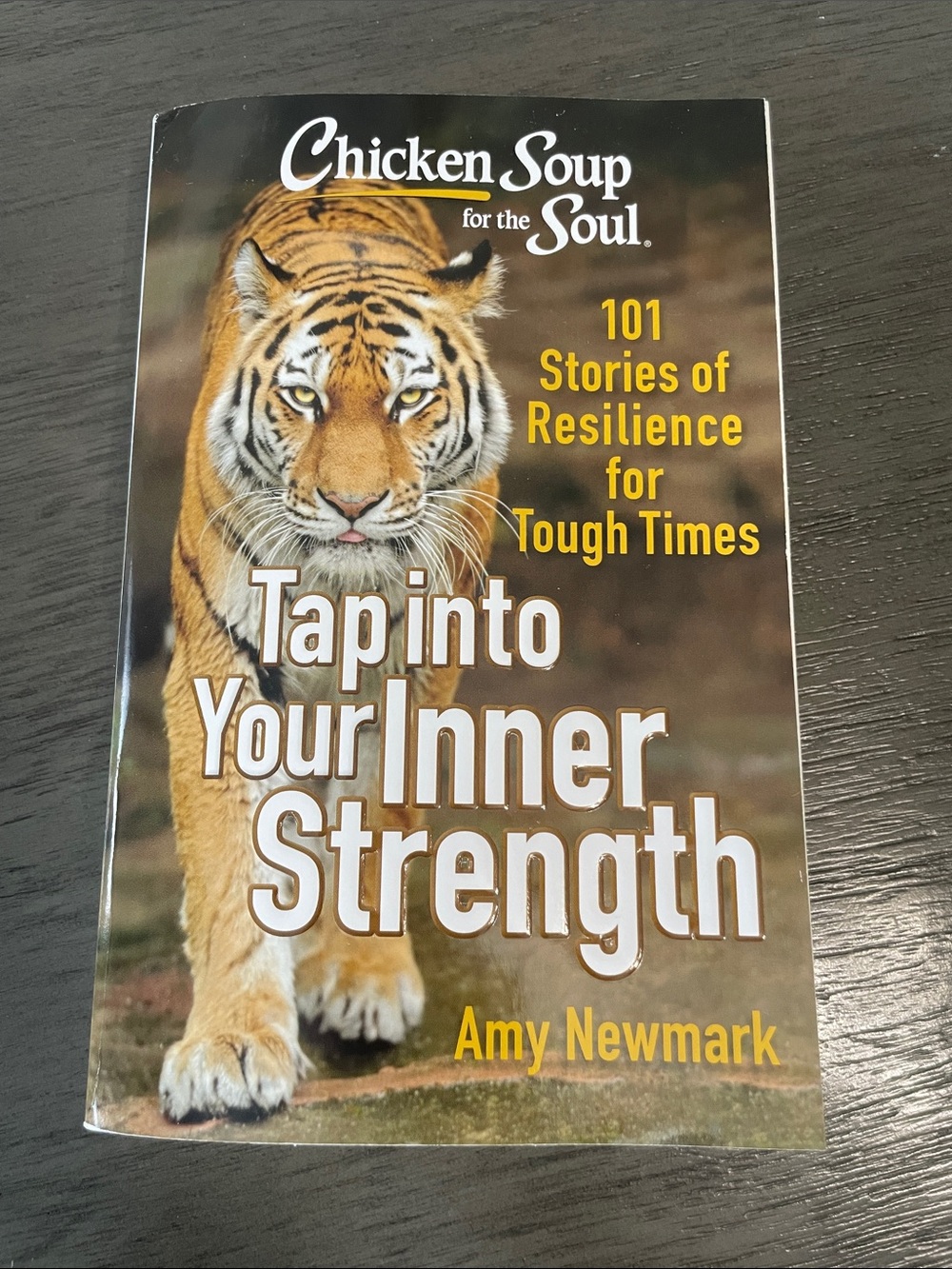 Chicken Soup for the Soul paperback book - 101 Stories of Resilience